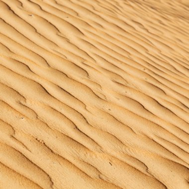 Umman eski çöl ve boş çeyrek soyut doku l