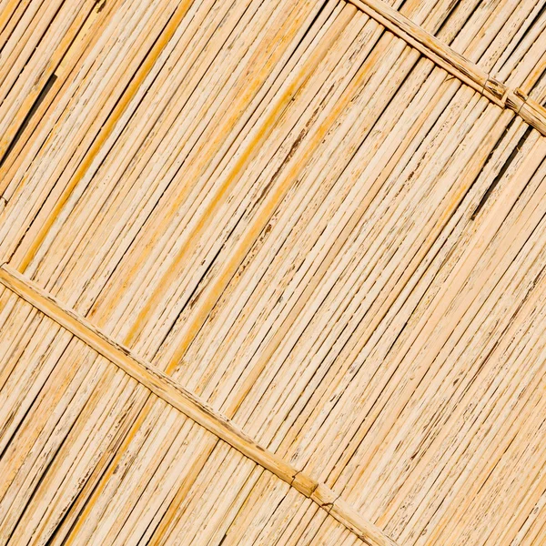 En oman textura abstracta de un fondo de pared de bambú — Foto de Stock
