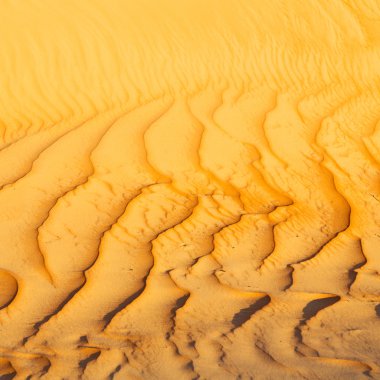 Umman eski çöl ve boş çeyrek doku li soyut