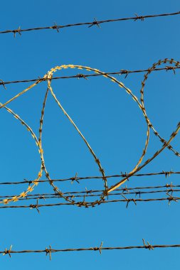 Umman barbwire bulutlu gökyüzü