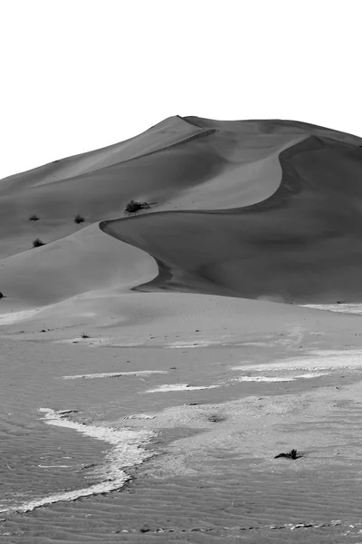 En oman viejo desierto frotar al khali el cuarto vacío y al aire libre — Foto de Stock