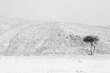 Umman eski dağ gorge  