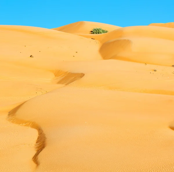 In oman oude desert rub al khali de lege kwartaal en buiten — Stockfoto