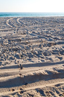 Umman Arapça deniz kumlu plaj  