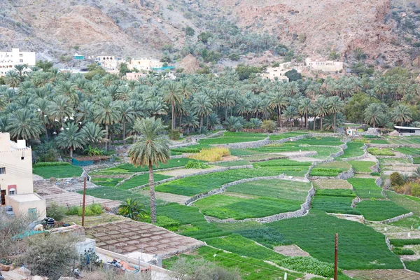 In oman il vecchio villaggio abbandonato — Foto Stock