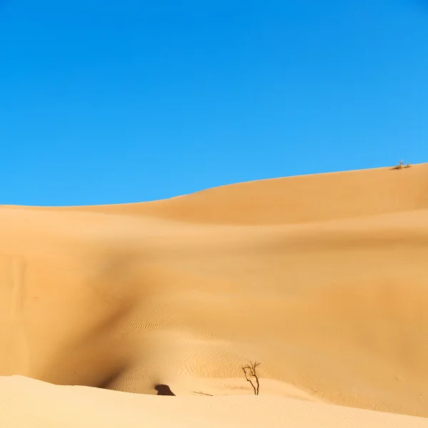In oman oude desert rub al khali de lege kwartaal en buiten — Stockfoto