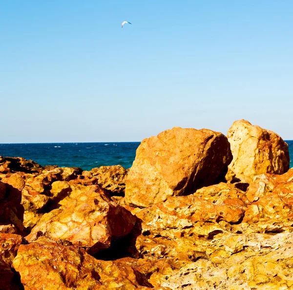 En Oman costa mar océano golfo roca y playa relajarse cerca del cielo —  Fotos de Stock