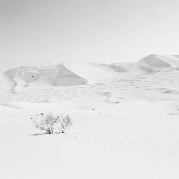 Ομάν παλιά της ερήμου rub al khali το άδειο τριμήνου και εξωτερική — Φωτογραφία Αρχείου