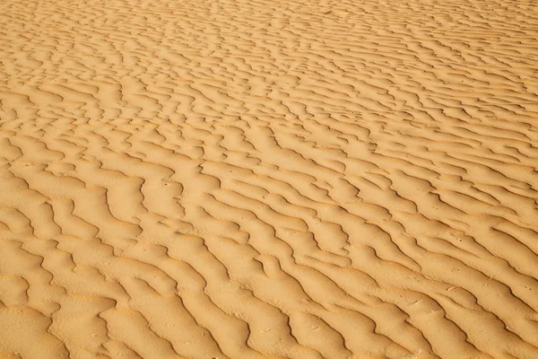 In oman the old  texture line wave — Stock Photo, Image
