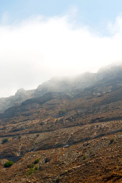 Niebla y arbusto seco — Foto de Stock