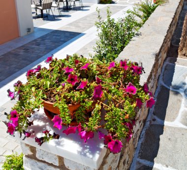 Yunanistan antorini Avrupa eski ev ve WHI Isle çiçek