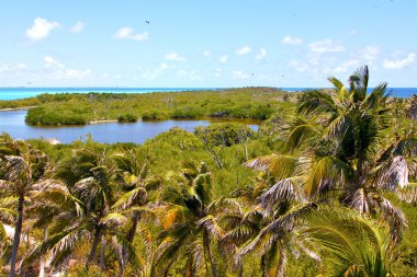 Isla contoy kum Meksika froath gün dalga