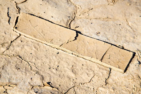 Madera de sahara de arena seca marrón — Foto de Stock