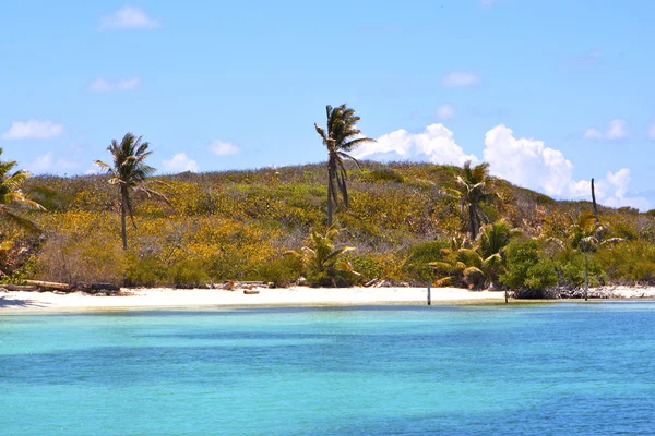 Isla contoy mexico froath e azul — Fotografia de Stock