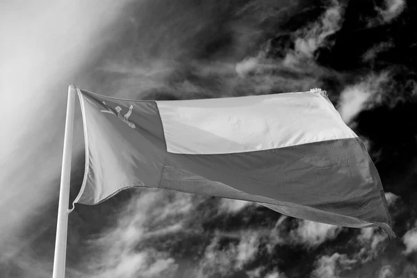 I oman vinker flag og den overskyede himmel - Stock-foto