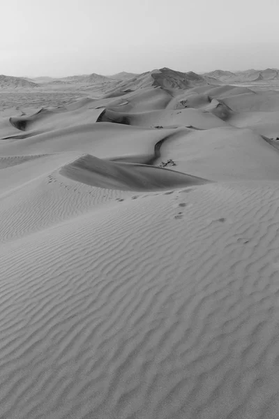 En oman viejo desierto frotar al khali el cuarto vacío y al aire libre —  Fotos de Stock