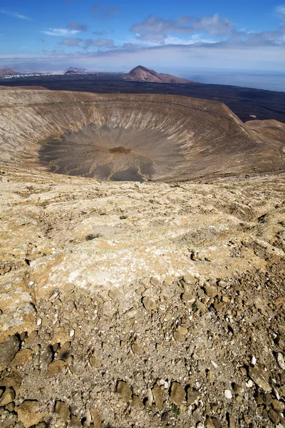 Planta de madera atlántica arbusto timanfaya verano españa — Foto de Stock