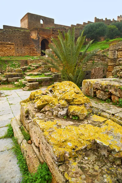 Chellah marocain monument et site — Photo