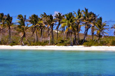 kıyı şeridi kaya mavi lagün sakin ol Isla contoy mexic