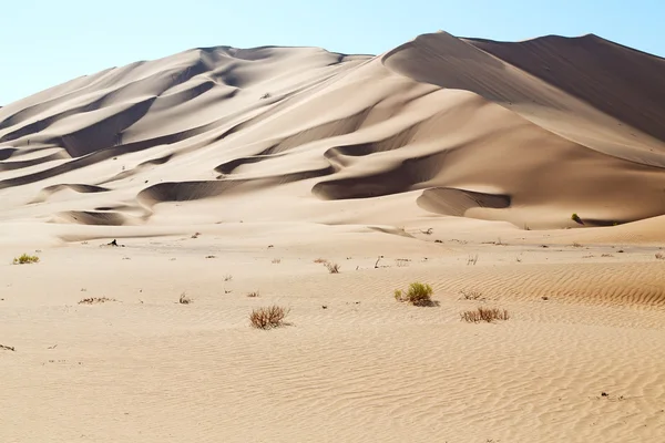 In oman old desert — Stock Photo, Image