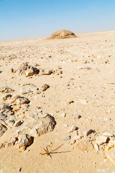 オマーン旧砂漠で — ストック写真