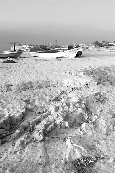 En oman boat en la costa y gaviota cerca del océano — Foto de Stock