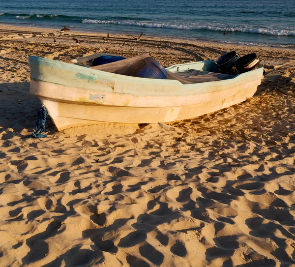 En oman boat en la costa y gaviota cerca del océano — Foto de Stock