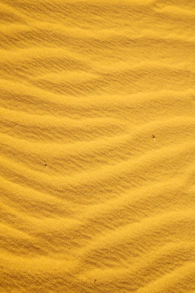 Brun sand dune — Stockfoto