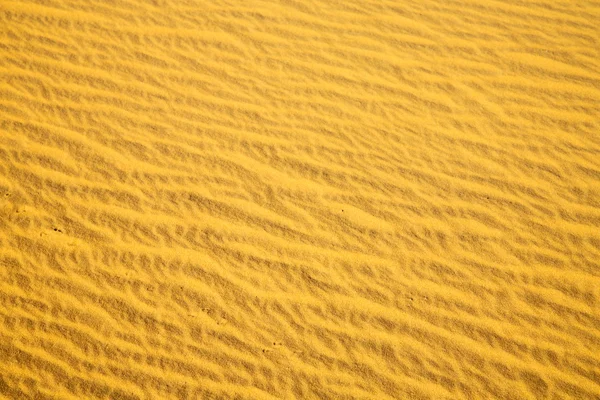 Afrika bruin zandduin — Stockfoto