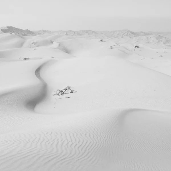 En oman viejo desierto frotar al khali el cuarto vacío y al aire libre —  Fotos de Stock
