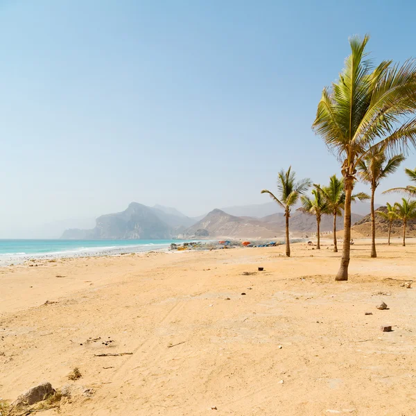 En oman palma marina árabe la colina cerca de la playa de arena cielo y moun —  Fotos de Stock