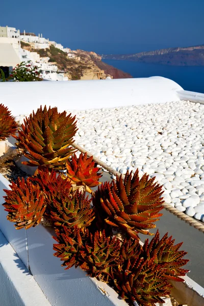 Griego en santorini el casco antiguo cerca del mar mediterráneo y s — Foto de Stock