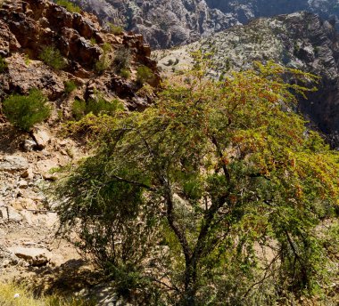 Umman eski dağ gorge ve kanyon derin bulutlu gökyüzü 
