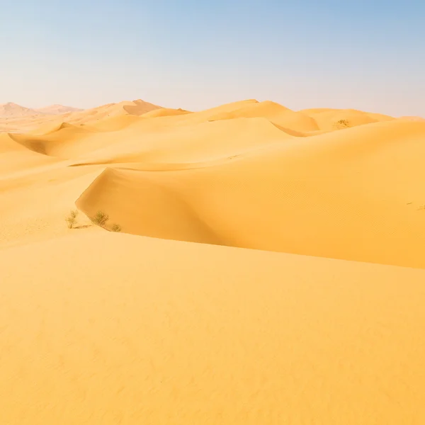 Em oman velho deserto esfregar al khali o quarto vazio e ao ar livre — Fotografia de Stock