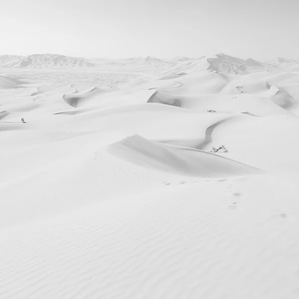 Omán régi sivatagi, rub al khali az üres negyedévben és szabadtéri — Stock Fotó