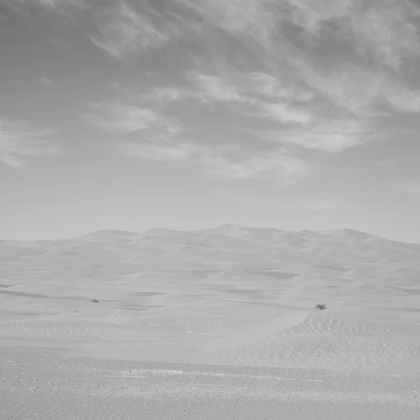 En oman viejo desierto frotar al khali el cuarto vacío y al aire libre —  Fotos de Stock