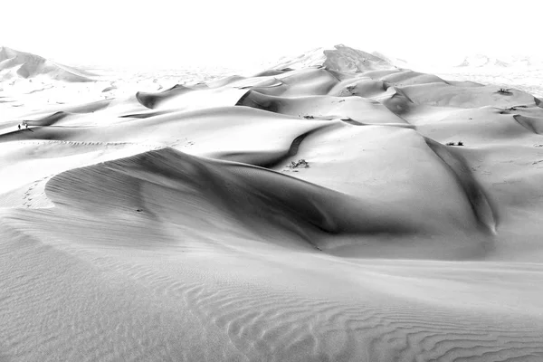 Em oman velho deserto esfregar al khali o quarto vazio e ao ar livre — Fotografia de Stock