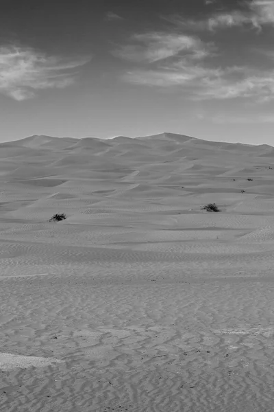 In oman oude desert rub al khali de lege kwartaal en buiten — Stockfoto