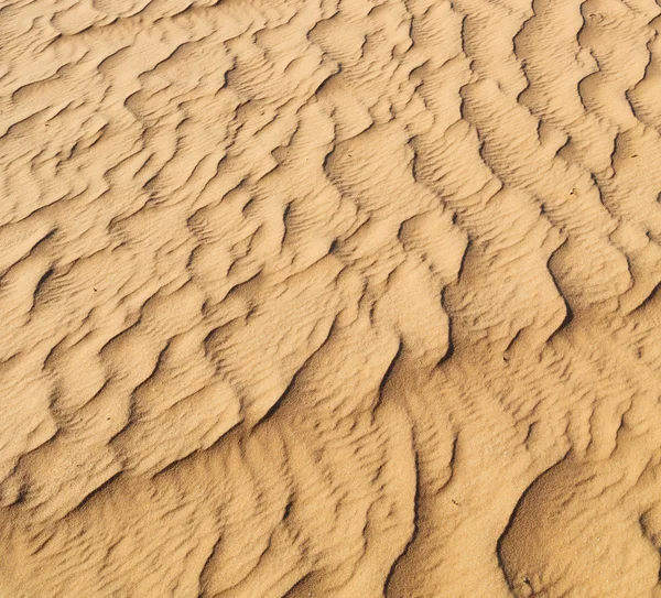 En oman el desierto viejo y el cuarto vacío textura abstracta l —  Fotos de Stock