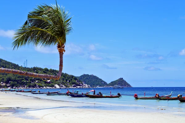 Île asie dans kho phangan — Photo