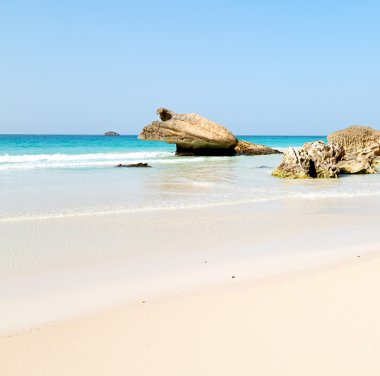 Umman sahil şeridi denizde okyanus Körfez rock ve plaj gökyüzü sakin ol
