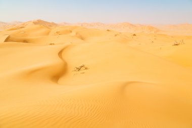 Umman eski boş çöl  