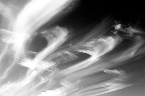 Umman kabarık bulutlu gökyüzü ve boş yer — Stok fotoğraf