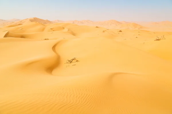 Dans oman vieux désert le vide — Photo