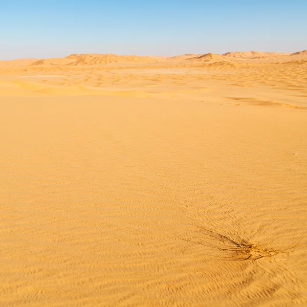 In oman oude desert rub al khali de lege kwartaal en buiten — Stockfoto