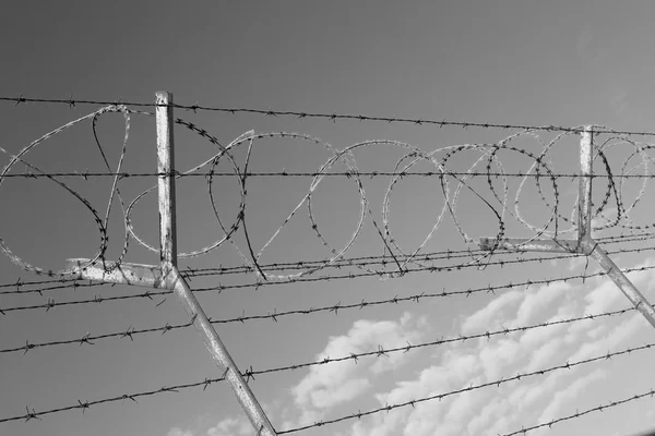 In oman barbwire in the background and cloudy sky — Stock Photo, Image