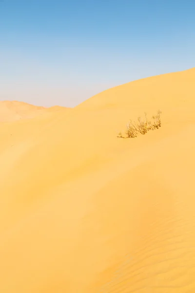 В старій пустелі — стокове фото