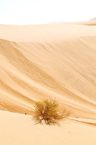 In oman old desert — Stock Photo, Image