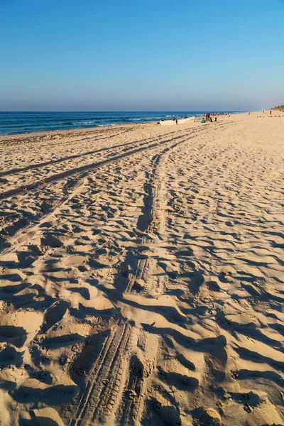 In barca di oman nella linea costiera e gabbiano vicino all'oceano — Foto Stock