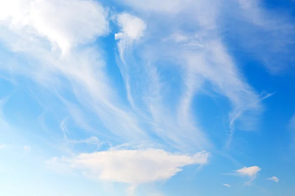 오만 무성 한 흐린 하늘에 빈 공간 — 스톡 사진